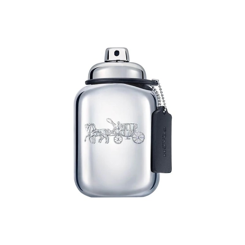 Coach Platinum Masculino Eau de Parfum 100 ml