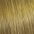 Louro Claro 8.0 